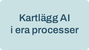 Kartlägg AI i era processer