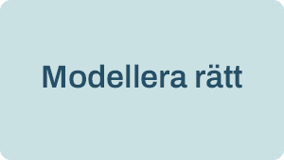 Modellera rätt-1