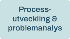 Processutveckling och problemanalys-1